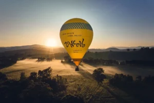 Biodynamic Wineries in Yarra Valley