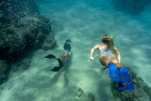 Discover the Best Things to Do in the Galapagos Islands: Snorkeling, Wildlife Watching, and More!